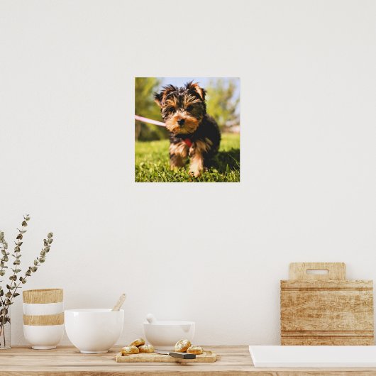 Cute Dog Close-up poster (Keuken)