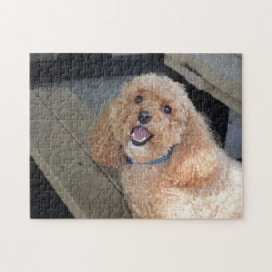 Cute Dog Cockapoo Breed Best Friend Animal Pet Legpuzzel