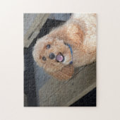 Cute Dog Cockapoo Breed Best Friend Animal Pet Legpuzzel (Verticaal)