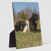 Cute Dog Couple Fotoplaat (Zijkant)