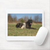 Cute Dog Couple Muismat (Met muis)