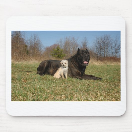 Cute Dog Couple Muismat (Voorkant)