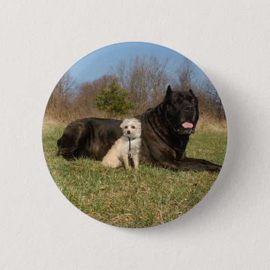 Cute Dog Couple Ronde Button 5,7 Cm (Voorkant)