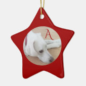 Cute Dog Custom Single Initiaal Red Kerstster Keramisch Ornament (Links)
