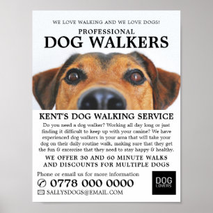 Cute Dog, Dog Walker Service Adverteren Poster
