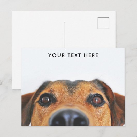 Cute Dog Face Peeking Briefkaart (Voorkant / Achterkant)