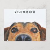 Cute Dog Face Peeking Briefkaart (Voorkant)
