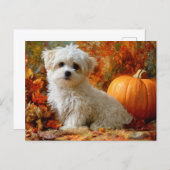 Cute Dog Fall Autumn Pumpkin Fall Leaves Design Briefkaart (Voorkant / Achterkant)