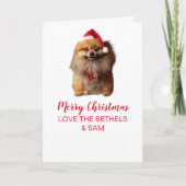 Cute Dog Folded Wenskaart Kaart (Voorkant)