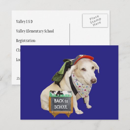 Cute Dog Funny Back to School Briefkaart (Voorkant / Achterkant)