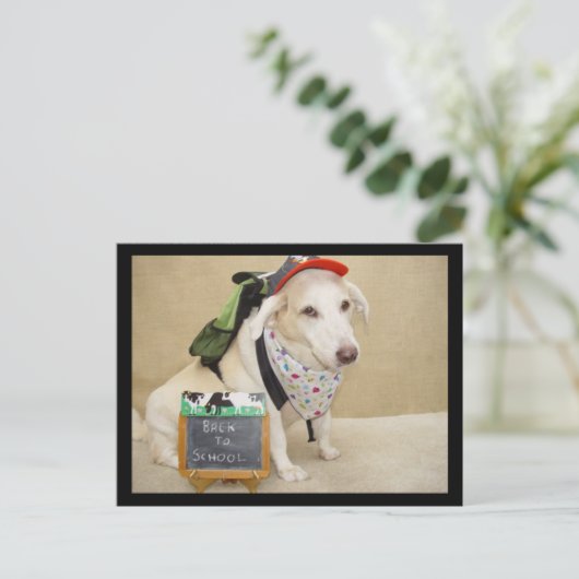 Cute Dog Funny Back to School Briefkaart (Staand voorkant)