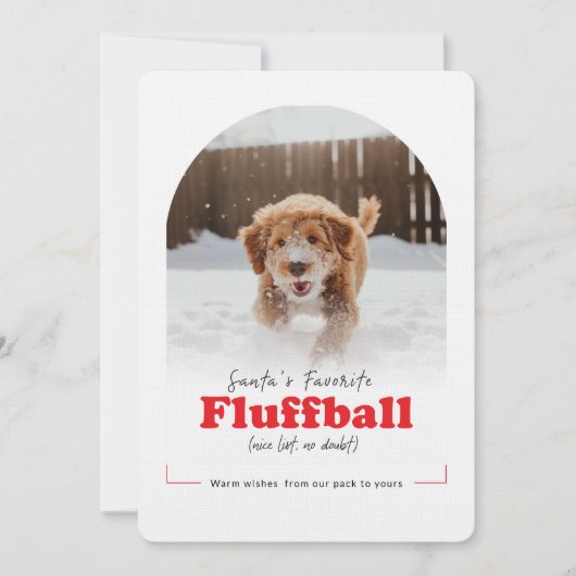 Cute Dog Funny Naughty Pet Arch Photo Christmas Feestdagenkaart (Voorkant)