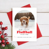 Cute Dog Funny Naughty Pet Arch Photo Christmas Feestdagenkaart