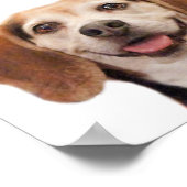 Cute Dog glimlachen Foto Smile Quote Beagle Poster (Hoek)