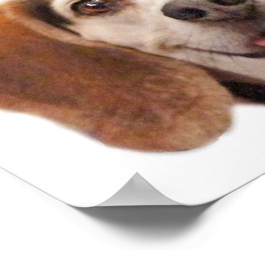 Cute Dog glimlachen Foto Smile Quote Beagle Poster (Hoek)