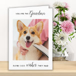 Cute Dog Grandma Personalized Pet Photo Birthday Feestdagen Kaart<br><div class="desc">Happy Birthday de beste hond oma ooit! Geef oma een schattige en grappige persoonlijke fotokaart van haar beste kleinkind, de hond. "Jij bent de grootmoeder elke hond die ze had. . . Happy Birthday Grandma, Love the Dog" Personaliseer de binnenkant met je speciale bericht, de naam van de hond en...</div>