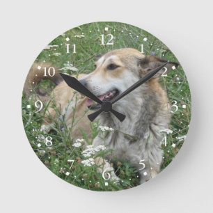Cute Dog Green Grass Clockface 1 Ronde Klok