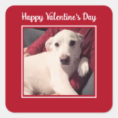 Cute Dog Happy Valentines Day Vierkante Sticker (Voorkant)