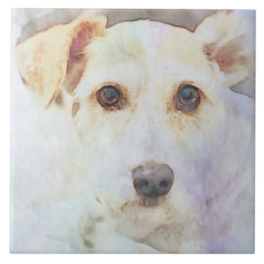 Cute Dog Head Face Eyes Sketch Tegeltje (Voorkant)