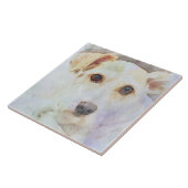 Cute Dog Head Face Eyes Sketch Tegeltje (Zijkant)