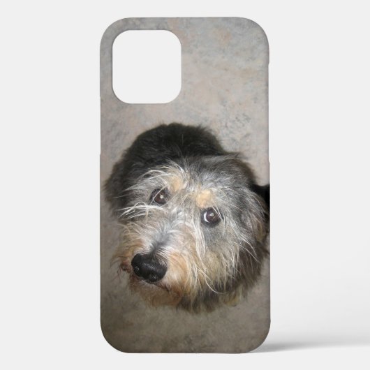 Cute dog Hoesje-Mate iPhone case (Achterkant)