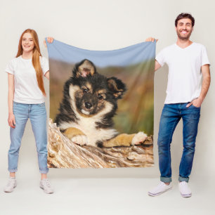 Cute Dog IJslands Sheepdog Puppy in een boomstam Fleece Deken