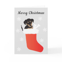 Cute dog in een stoppende sneeuwvlokken