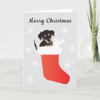 Cute dog in een stoppende sneeuwvlokken