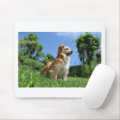 Cute dog in gras muismat (Met muis)