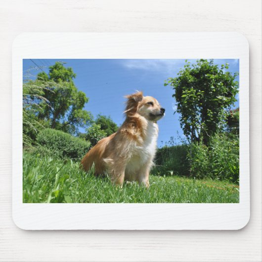 Cute dog in gras muismat (Voorkant)
