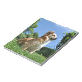 Cute dog in gras notitieblok (Linkerzijde)
