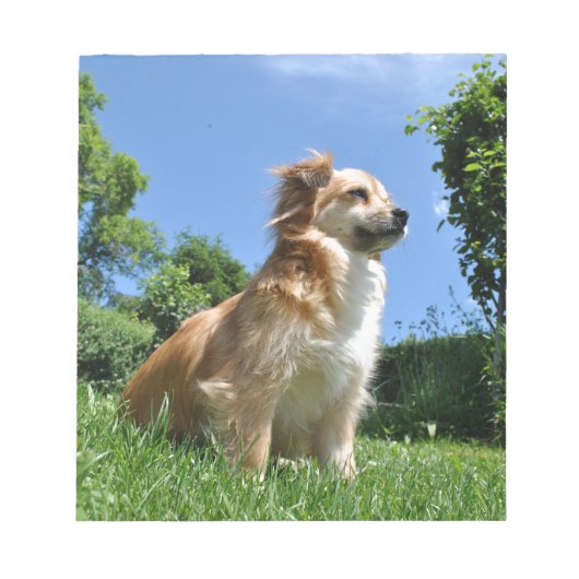 Cute dog in gras notitieblok (Voorkant)