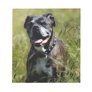 Cute dog in gras notitieblok