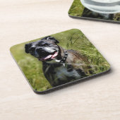 Cute dog in gras onderzetter (Linkerzijde)