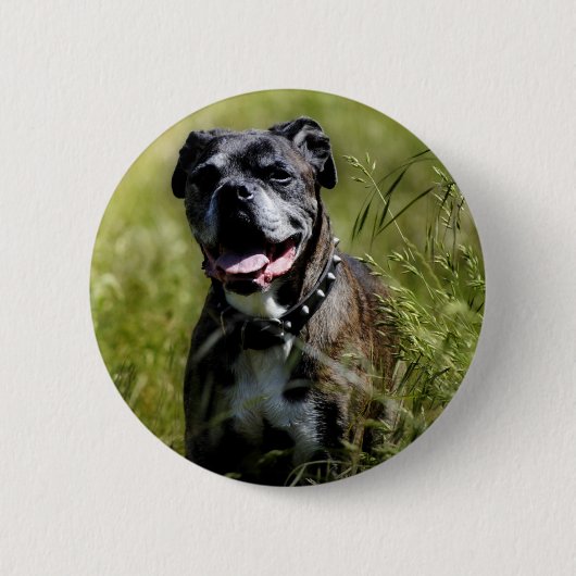 Cute dog in gras ronde button 5,7 cm (Voorkant)