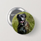 Cute dog in gras ronde button 5,7 cm (Voorkant /achterkant)
