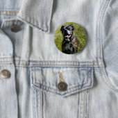 Cute dog in gras ronde button 5,7 cm (In situ)