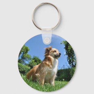 Cute dog in gras sleutelhanger