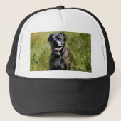 Cute dog in gras trucker pet (Voorkant)