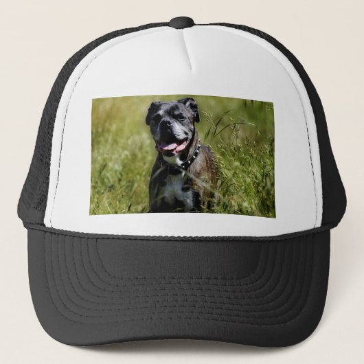 Cute dog in gras trucker pet (Voorkant)