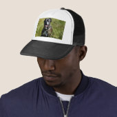 Cute dog in gras trucker pet (In situ)