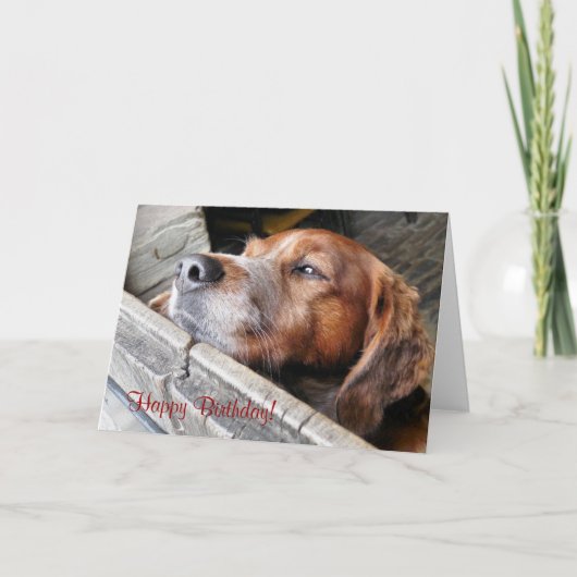 CUTE DOG KAART (Voorkant)