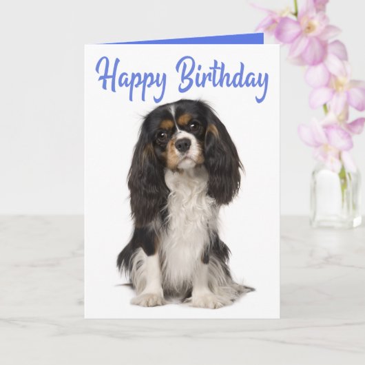 Cute Dog King Charles Cavalier Spaniel Birthday Kaart (Orchidee)
