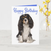 Cute Dog King Charles Cavalier Spaniel Birthday Kaart (Gele Bloem)