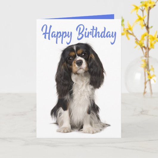 Cute Dog King Charles Cavalier Spaniel Birthday Kaart (Gele Bloem)