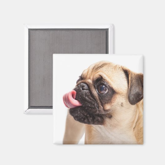 Cute Dog magnet 1 (Voorkant / Achterkant)