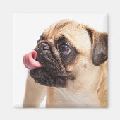 Cute Dog magnet 1 (Voorkant)