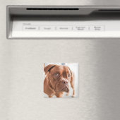 Cute Dog magnet 11 (Insitu (Vaatwasser))