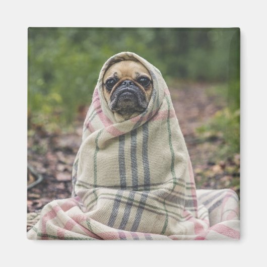 Cute Dog magnet 2 (Voorkant)