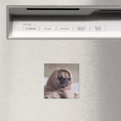 Cute Dog magnet 3 (Insitu (Vaatwasser))